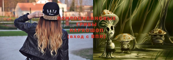 шишки Лиски