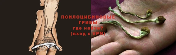 СК Лихославль
