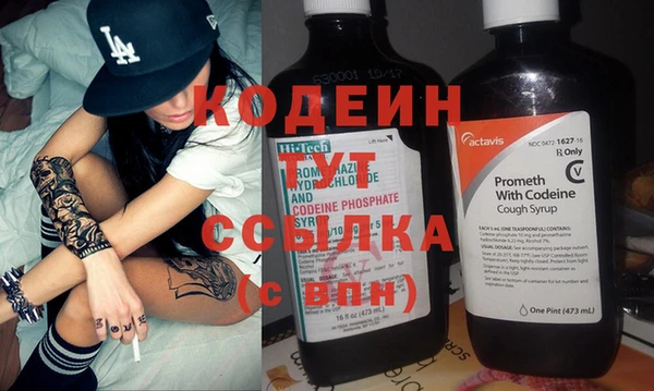 шишки Лиски