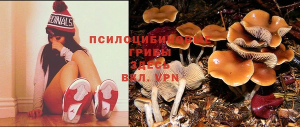 шишки Лиски