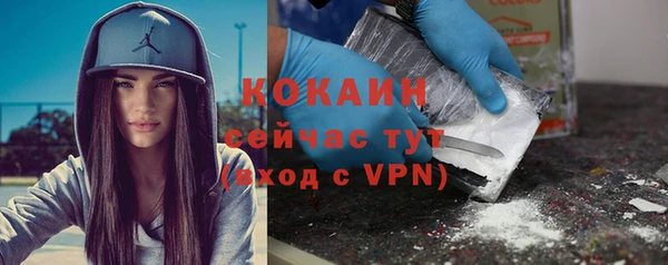 шишки Лиски