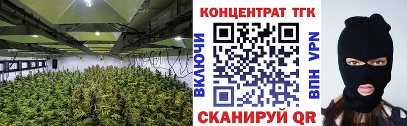 Купить  Михайлов  Дистиллят ТГК гашишное масло 